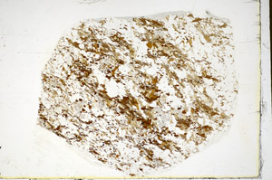 Plane Polarized, S84967