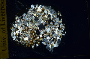 Cross Polarized, S84969