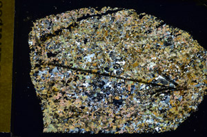 Cross Polarized, S84970