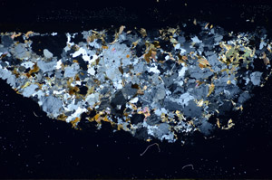 Cross Polarized, S84971