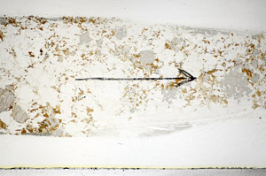 Plane Polarized, S84974