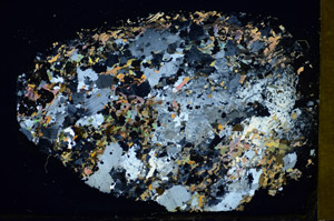 Cross Polarized, S84977