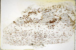 Plane Polarized, S84979