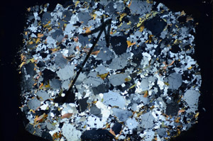 Cross Polarized, S84989