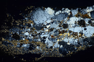 Cross Polarized, S84998