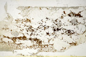 Plane Polarized, S84998