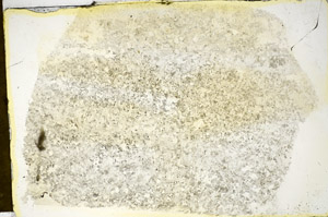 Plane Polarized, S85010