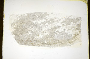 Plane Polarized, S85013