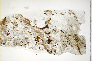 Plane Polarized, S85016