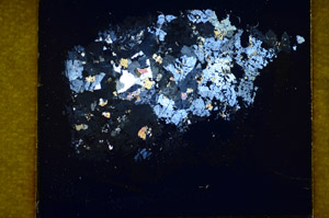 Cross Polarized, S85025