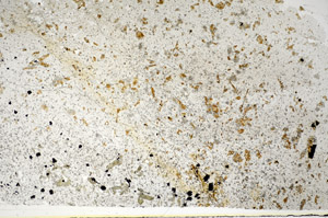 Plane Polarized, S85039