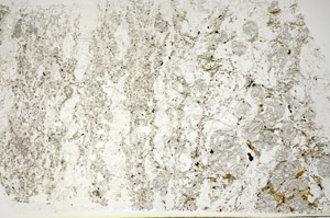 Plane Polarized, S85044