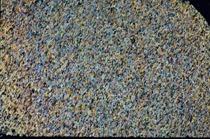 Cross Polarized, S85045