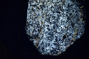 Cross Polarized, S85057