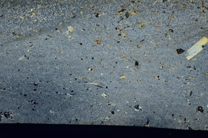 Cross Polarized, S85059