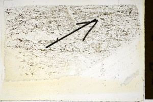 Plane Polarized, S85069