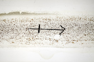 Plane Polarized, S85071