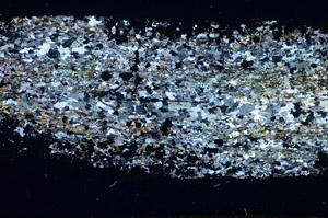 Cross Polarized, S85095