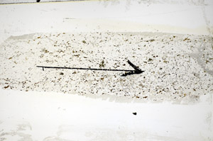 Plane Polarized, S85102