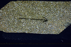 Cross Polarized, S85104