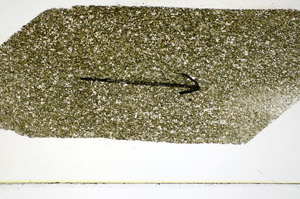 Plane Polarized, S85104