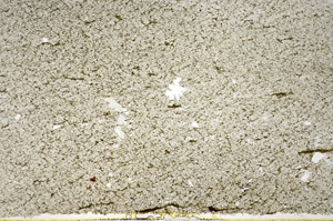 Plane Polarized, S85109