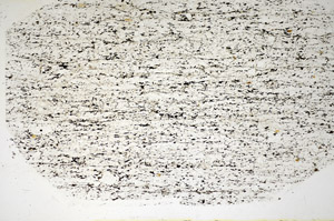 Plane Polarized, S85114