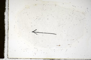 Plane Polarized, S85122