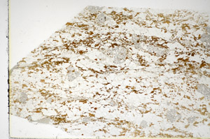 Plane Polarized, S85154