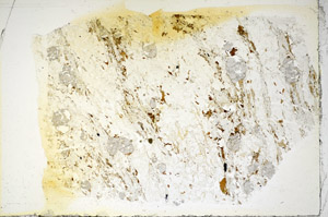 Plane Polarized, S85167