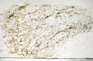 Plane Polarized, S85170