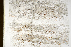 Plane Polarized, S85172