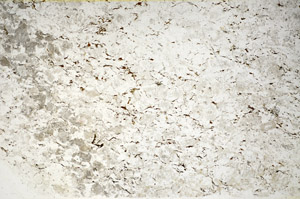 Plane Polarized, S85173