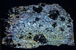 Cross Polarized, S85179