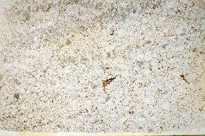 Plane Polarized, S85181