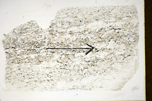 Plane Polarized, S85196