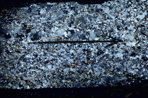 Cross Polarized, S85198