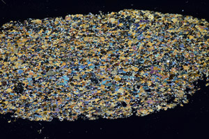 Cross Polarized, S85205