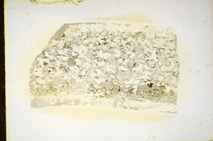 Plane Polarized, S85207