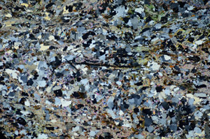 Cross Polarized, S85212
