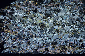 Cross Polarized, S85217