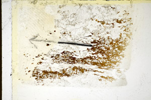 Plane Polarized, S85219