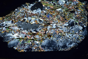 Cross Polarized, S85223