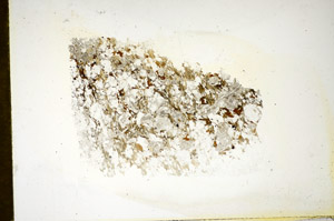 Plane Polarized, S85227