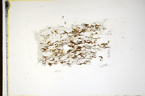 Plane Polarized, S85234