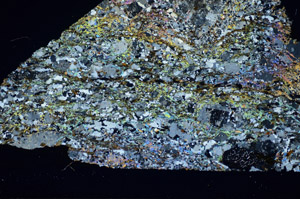 Cross Polarized, S85238