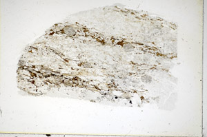 Plane Polarized, S85241