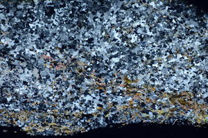 Cross Polarized, S85244