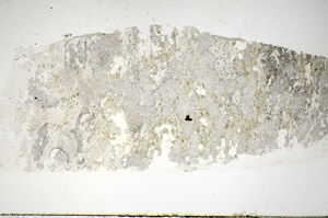 Plane Polarized, S85247