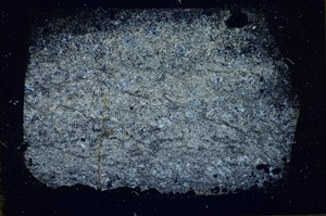 Cross Polarized, S85249